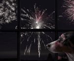 Consejos para proteger a tu mascota de la pirotecnia en fin de año