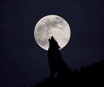 Superluna de Lobo: ¿cuándo ver la primera Luna llena del 2026?