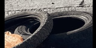 Ingenio para reparar las enormes zanjas Ingenio para reparar las enormes zanjas