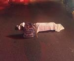 Fallece hombre arrollado Fallece hombre arrollado