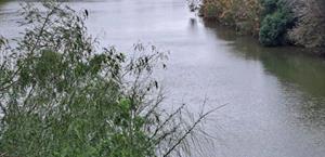 Trasvase de agua eleva nivel del río