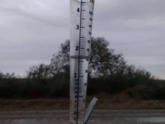 Río Bravo recibe lluvias que benefician la siembra de sorgo