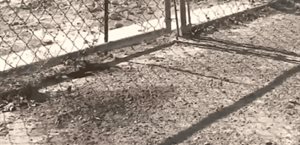 investigan doble crimen en garciasville