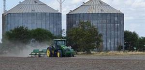 Sigue apuesta por  siembra de sorgo