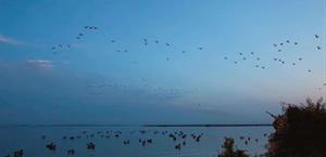 Alistan arribo de cazadores