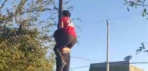 Celebran el tradicional juego de palo encebado