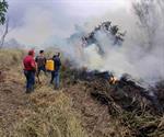 Piden bomberos no incendiar pastizales Piden bomberos no incendiar pastizales