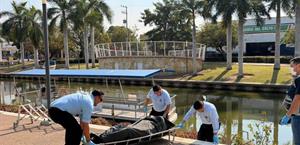 Encuentran cadáver en Canal de la Cortadura