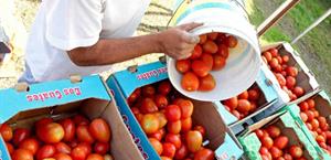 Exportaciones a los EU alcanzan cifra histórica