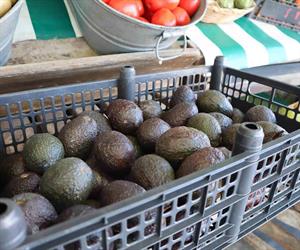 Aumentan alimentos clave