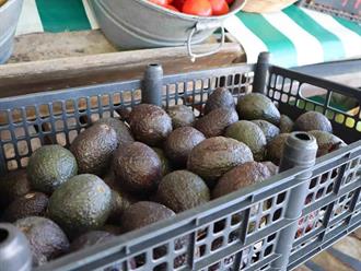 Aumentan alimentos clave