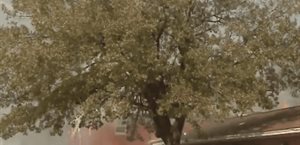 Se incendia iglesia al norte de Houston