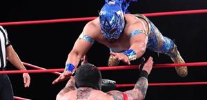 Komander acarició la victoria