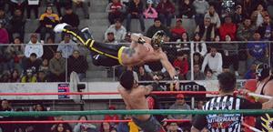 ‘Como el Ave Fénix’