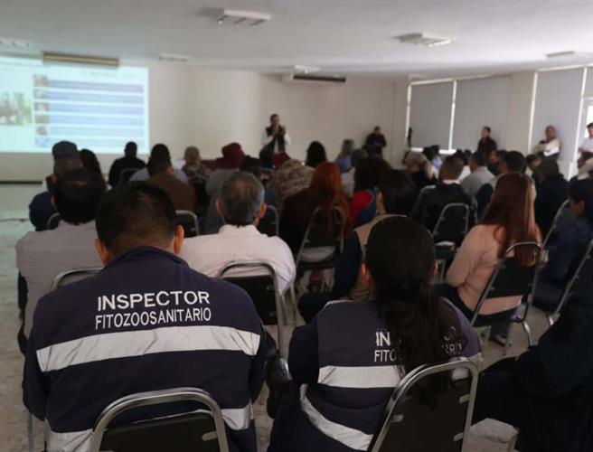 Actualizan a productores contra gusano barrenador