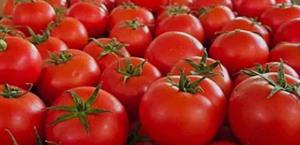 El jitomate se abarata en todo el país en 2025