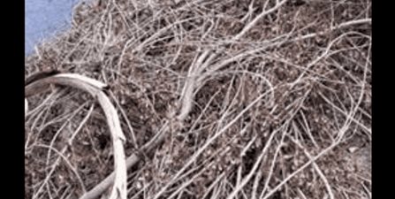 Colonia Petrolera clama atención de autoridades