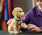 LEGO lanza set de perrito Golden Retriever; ¿cuál es su precio?