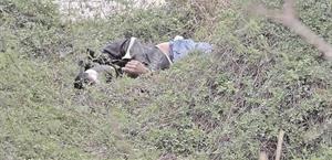 ¡Hallan asesinado!
