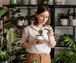 Las 5 plantas más recomendadas para interiores