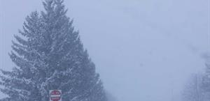 México anuncia plan de contingencia ante posibles fallas eléctricas por tormenta invernal en EEUU