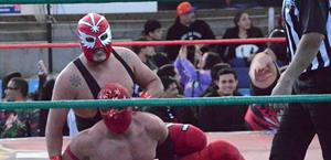 Asterisco Jr. está en gran momento