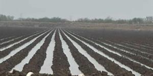 Reconocen a agricultores