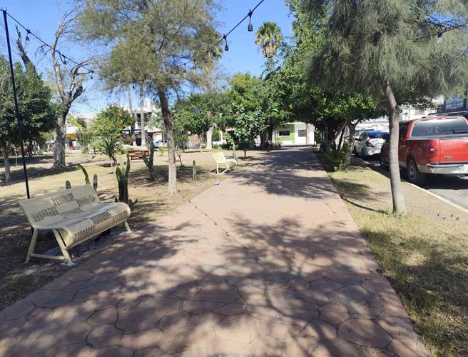 Frío en Reynosa afecta la movilidad y el comercio local