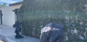 Exhortan a retirar los plásticos tras heladas