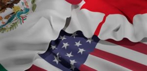 Perspectivas económicas de México: T-MEC y reformas fiscales