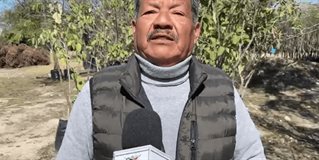 Exhortan a retirar los plásticos tras heladas