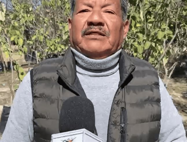 Exhortan a retirar los plásticos tras heladas