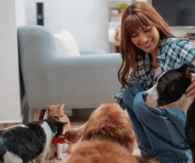 UNAM advierte sobre el síndrome del arca de Noé en mascotas