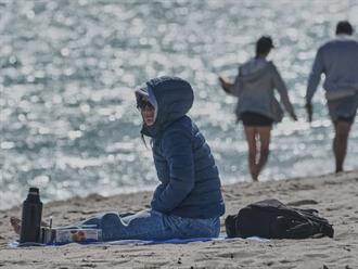 Florida se prepara para heladas y posibles nevadas en medio de ola de frío invernal en EEUU