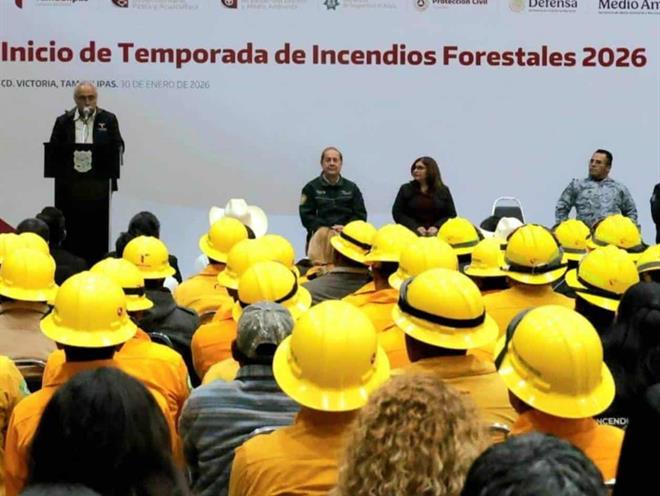 Velarán por protección de ecosistemas forestales