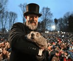 Día de la Marmota: ¿qué es y por qué se celebra el 2 de febrero?