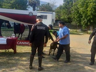 Protegen a zooelementos de la SSPT contra gusano barrenador