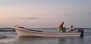 Aumentan vigilancia ante la veda de Lisa