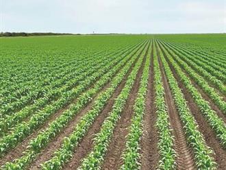 ‘Acuerdo hídrico no afecta a campesinos’