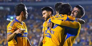 Los Tigres no tienen piedad