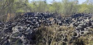 Preparan sanciones por tiradero de neumáticos
