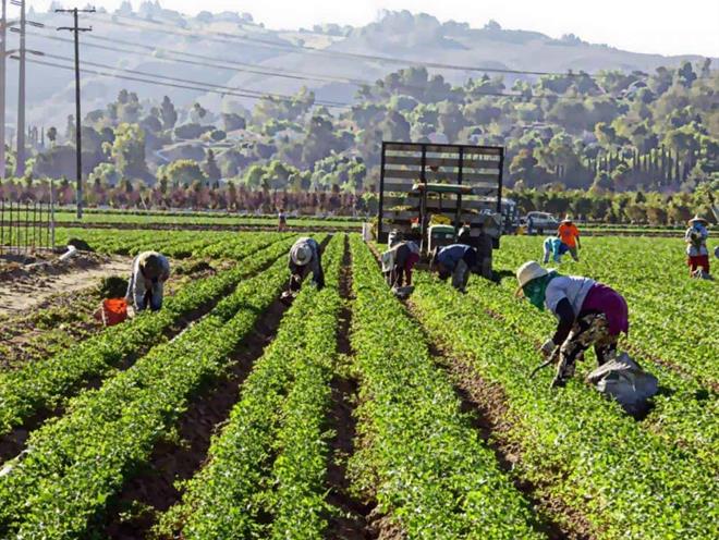 Mano mexicana impulsa a EU