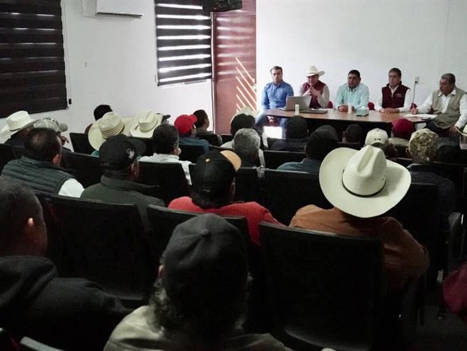 Mantienen blindaje contra gusano barrenador