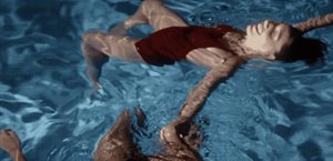 Compiten en Sección Generation