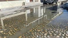 Fuga de aguas negras tiene mas de dos años">