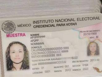 Ciudadanos tramitan su INE y olvidan recogerla