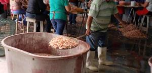 Coepris redobla acciones de inspección y vigilancia