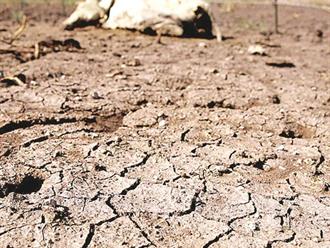 En rojo por sequía 16 ciudades