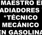 SOLICITO: *MAESTRO EN 