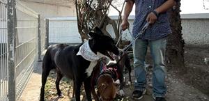 Deportado se queda atrapado en Tampico